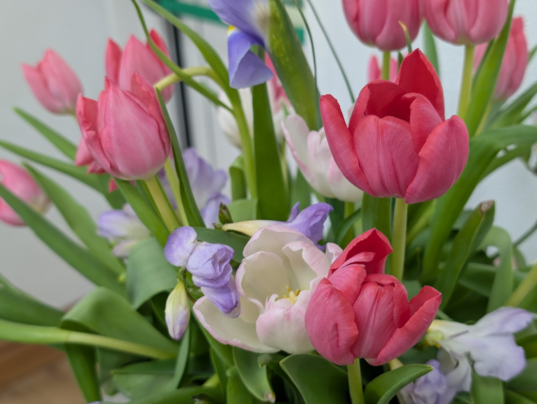 Spring Show Memory 1